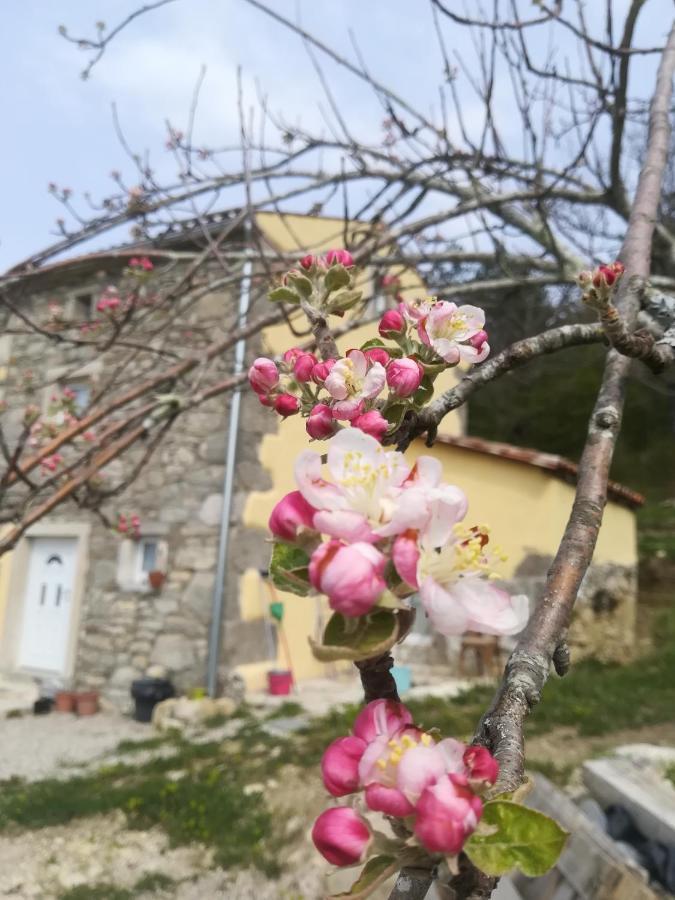 Skalameri Kozljak エクステリア 写真